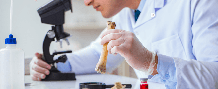 How Microscopy Supports Archaeology and Artifact Conservation