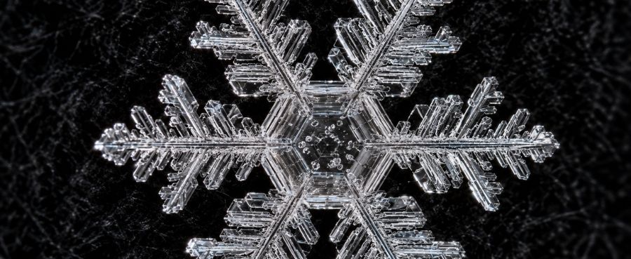What Does Snow Look Like Under a Microscope?