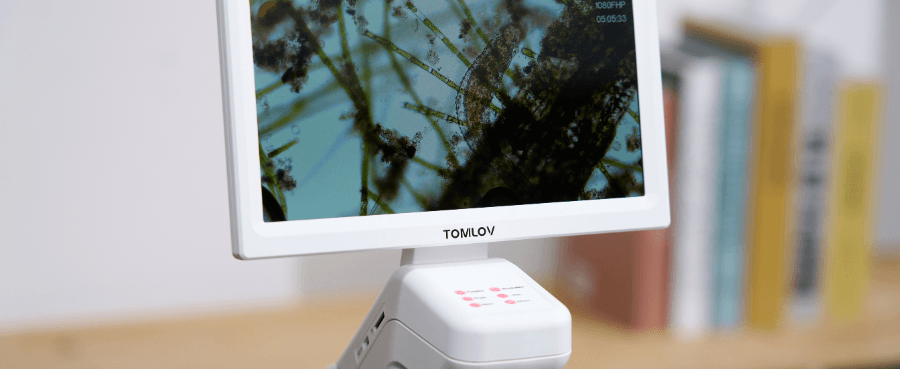 How to Store a Microscope Properly to Prevent Dust and Damage