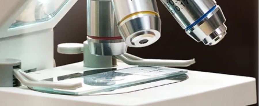 Close-up of a glass slide secured on a microscope stage under objective lenses.
