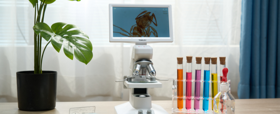 Microscopy and the "STEM" Mindset: How Visual Learning Sparks Lifelong Curiosity