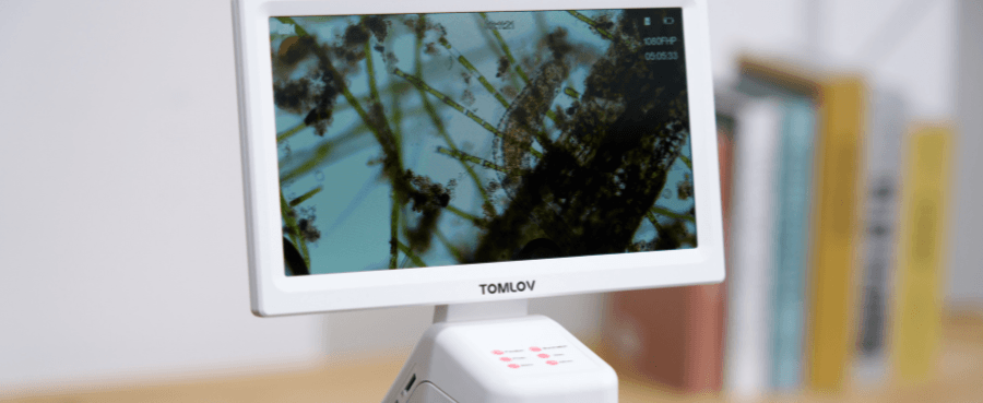 What Microscope Do Students Need for Biology Class?