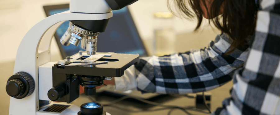 What To Look For In A Digital Microscope?