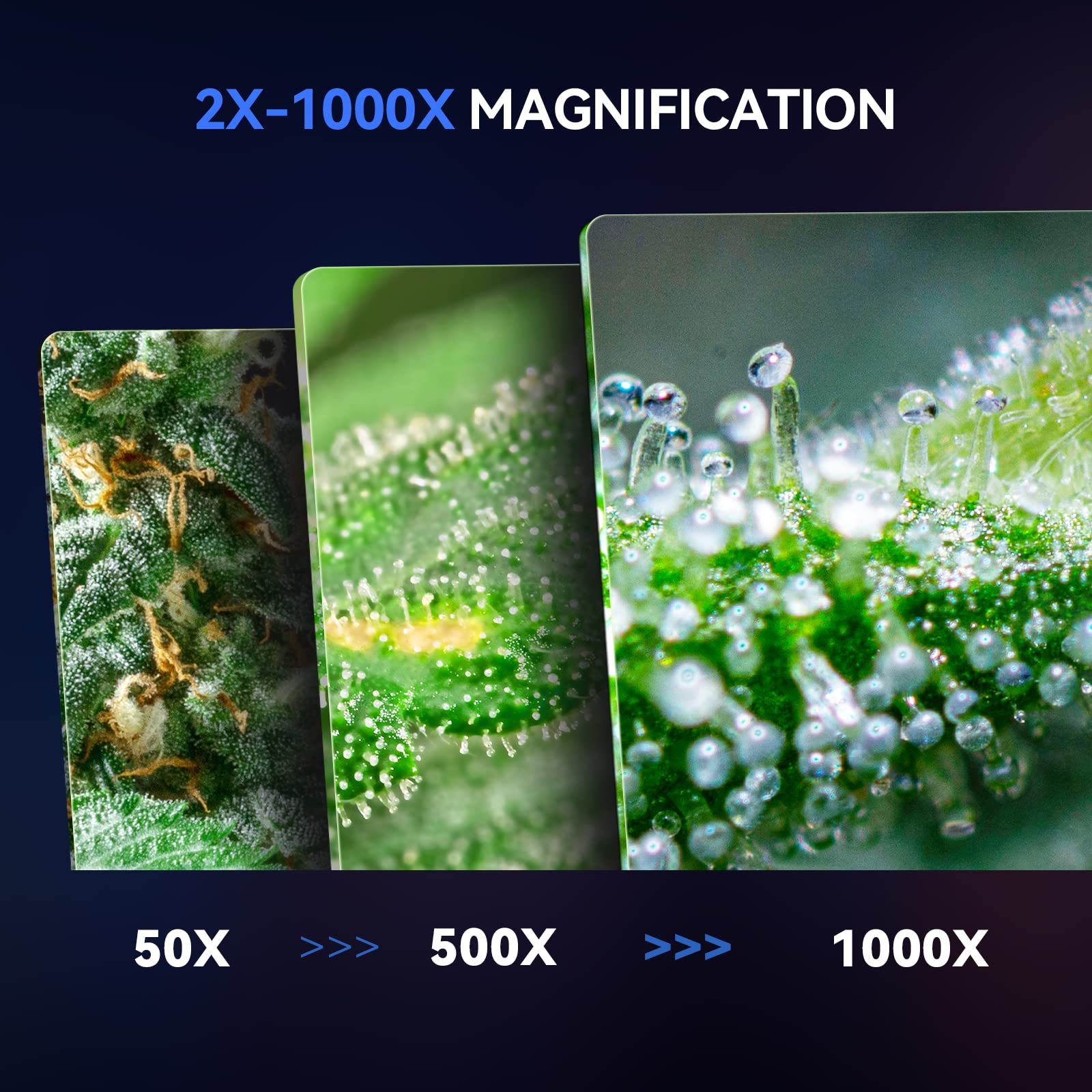 TOMLOV DM13 1000X LCD Digital Microscope, Coin Microscope with 5" IPS Screen