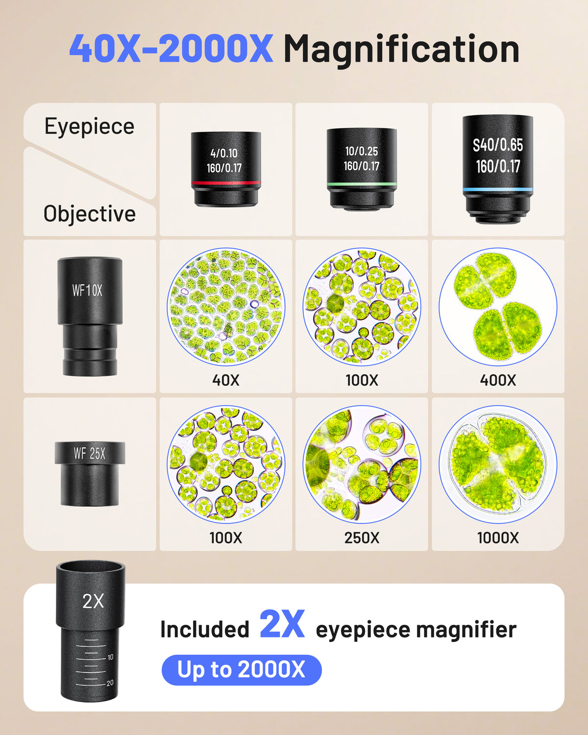 【NEW】TOMLOV Compound Microscope with Coarse & Fine Focus for Students, 40X-2000X