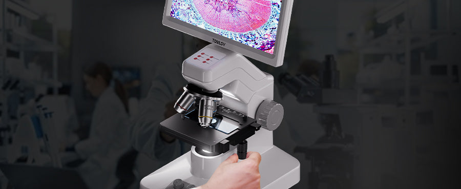 Hand adjusting the mechanical stage of a Tomlov microscope displaying cross-section cells on its screen.
