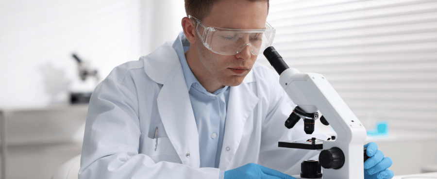 Can You See Bacteria with a Digital Microscope? 