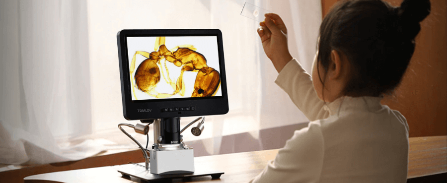 How Clear Is a Digital Microscope? Understanding Resolution and Magnification