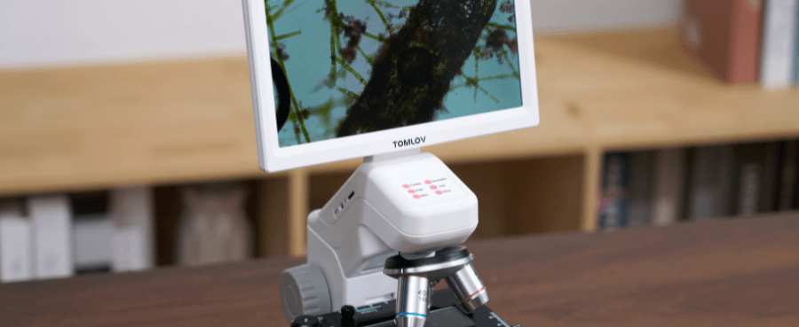 What Is a Compound Microscope? 