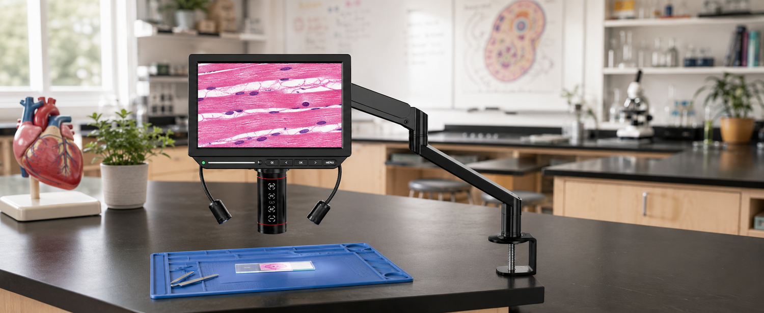 Digital microscope displaying human cardiac muscle tissue in a biology classroom lab.