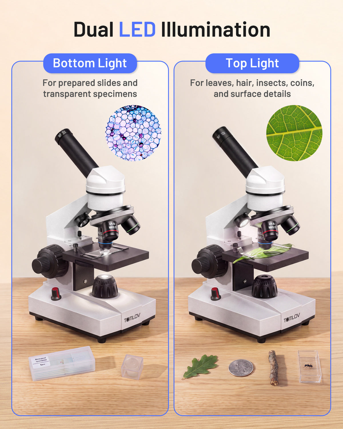 【NEW】TOMLOV Compound Microscope with Coarse & Fine Focus for Students, 40X-2000X
