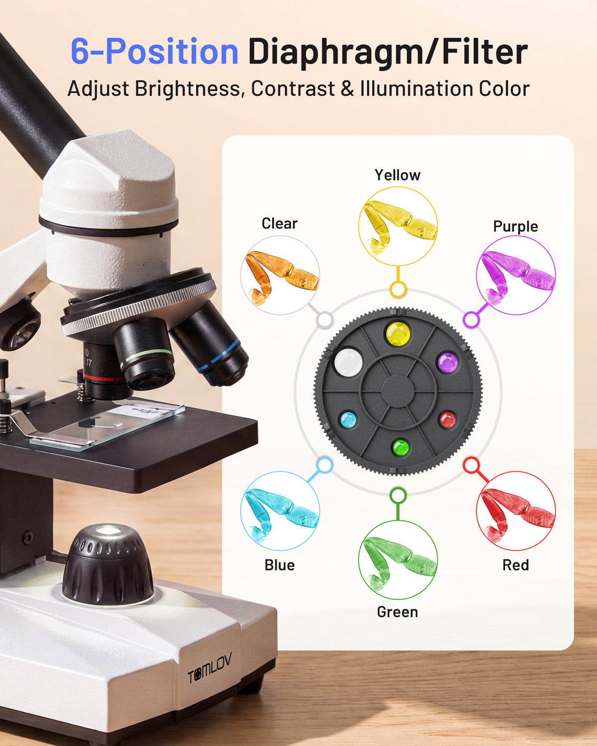 【NEW】TOMLOV Compound Microscope with Coarse & Fine Focus for Students, 40X-2000X